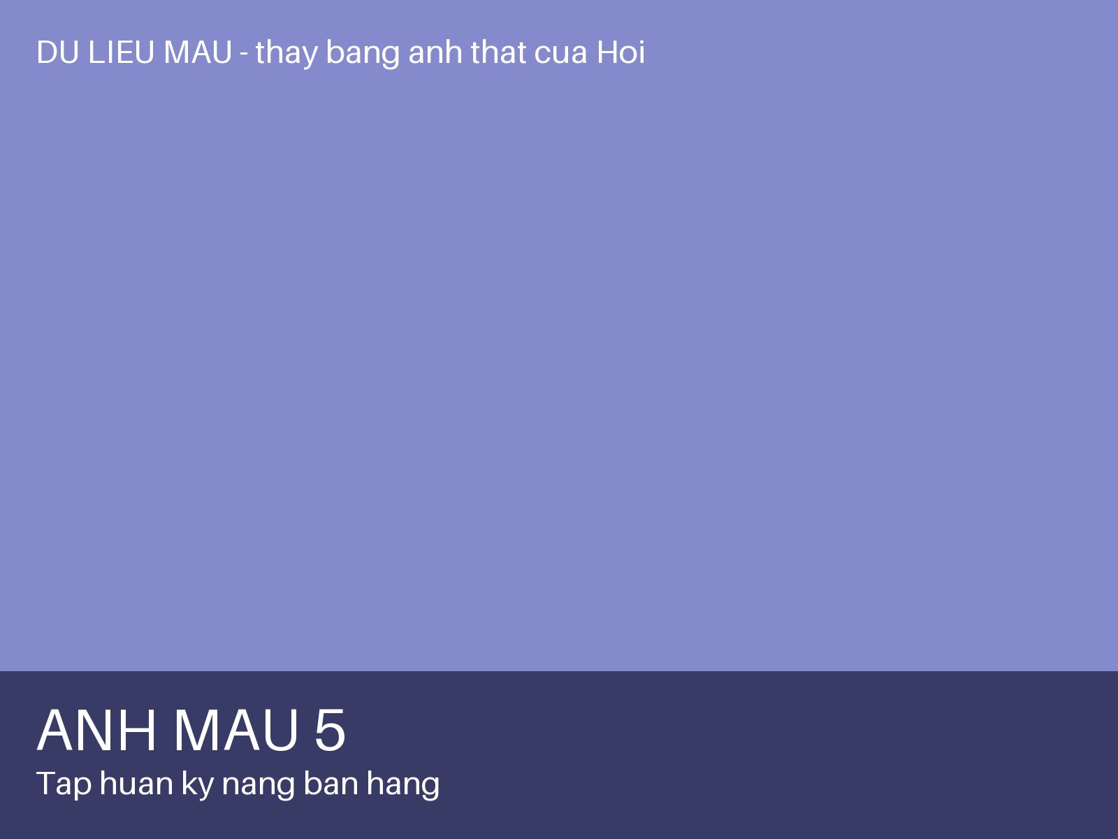 Ảnh 5 — Tập huấn kỹ năng bán hàng